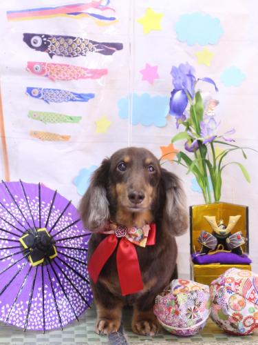 20240514ココアくん